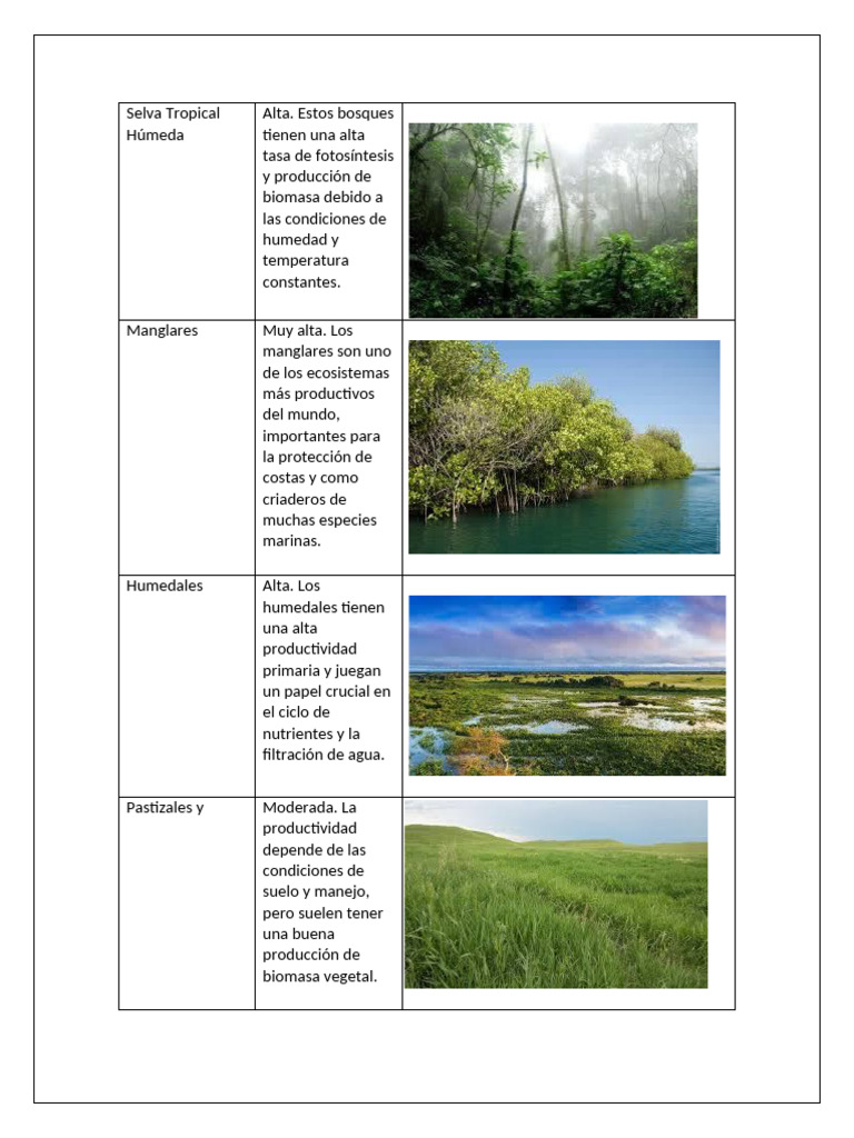 Selva Tropical Humeda 2 | PDF | Science & Mathematics | Technology ...