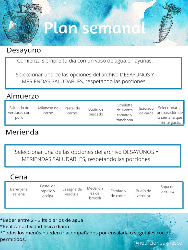Plan Semanal 1 1 Pdf