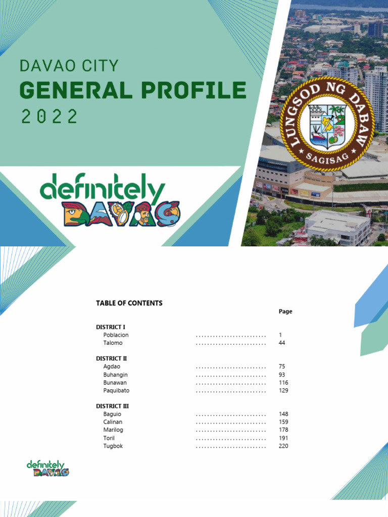 Barangay General Profile 2022 | PDF