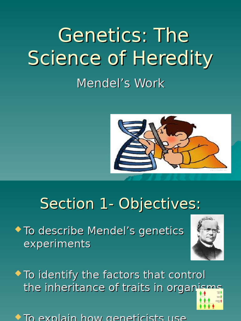 Language of Genetics G9 | PDF