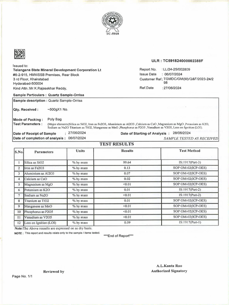 Lucid Report | PDF