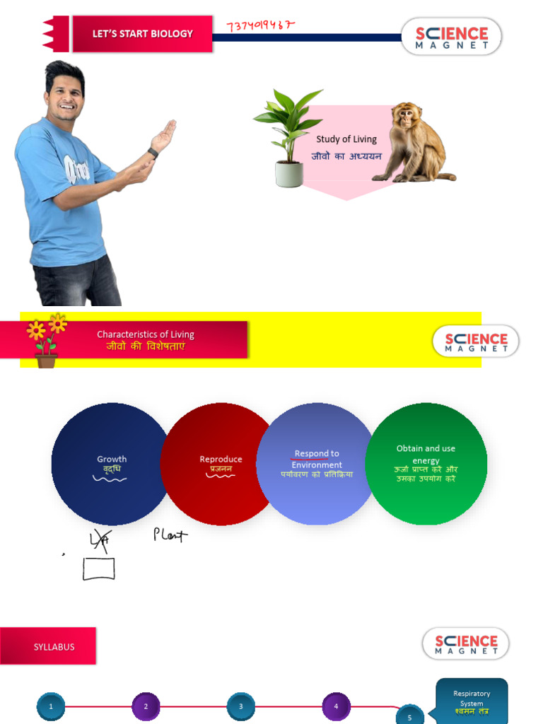 Digestive System Pdf