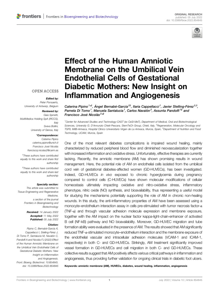 2022 Effect of The Human Amniotic Membrane On The Umbilical Vein ...