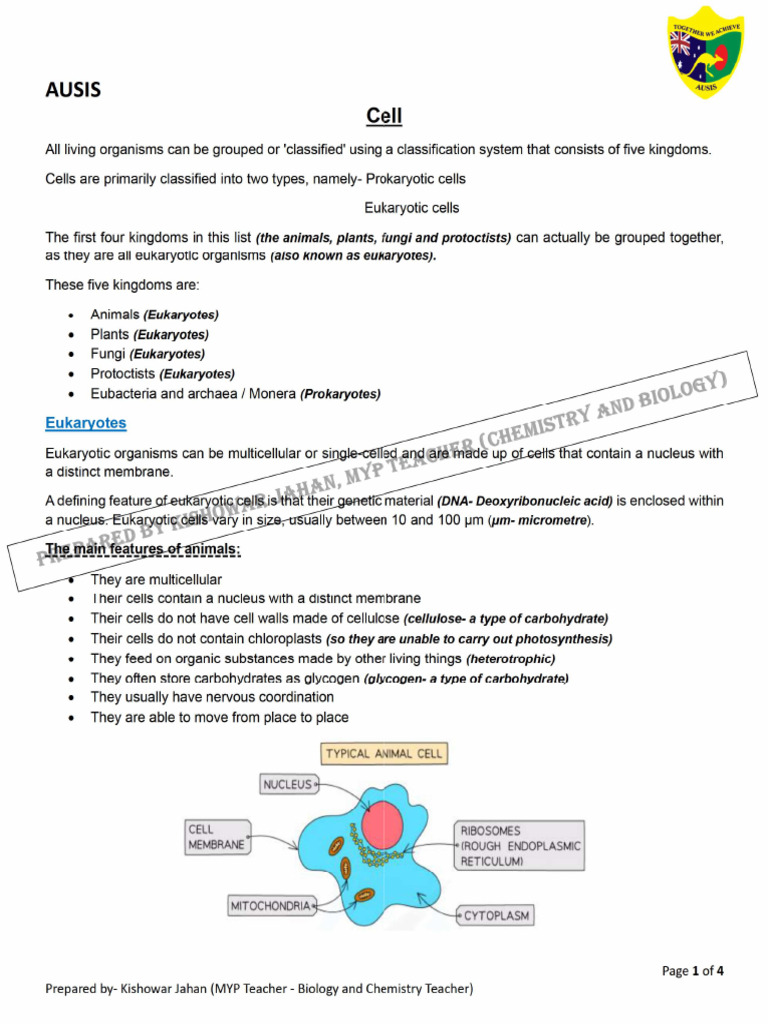 4 T 1 Y 7B Biology Cell - Structure Plant - and - Animal - Cell P | PDF