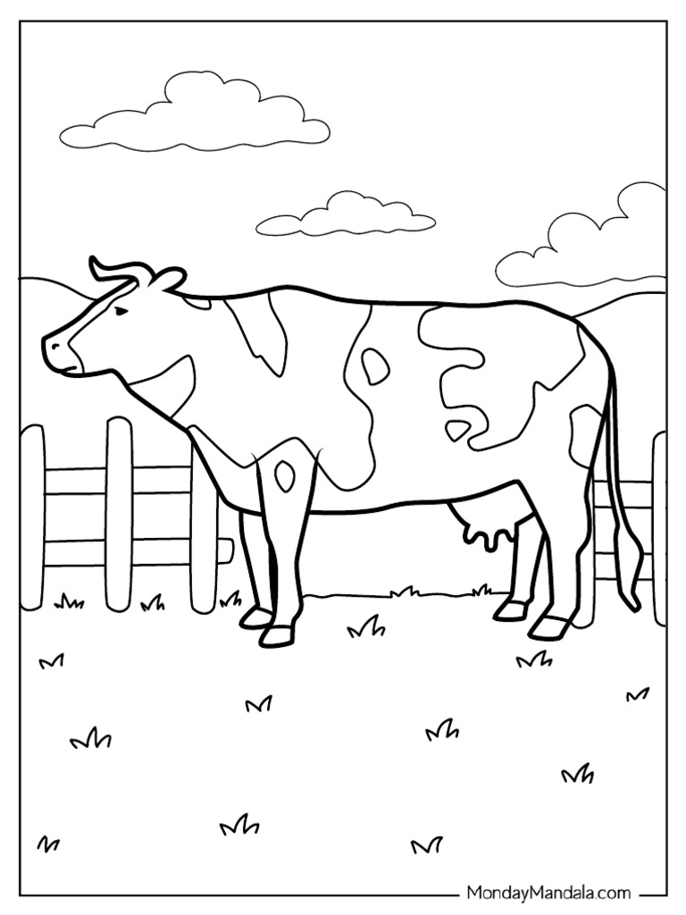 Common Farm Cow | PDF