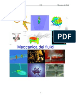 Meccanica Dei Fluidi Emodinamica
