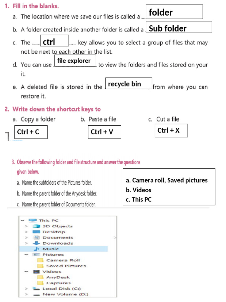 Managing Files and Folders: Key Q&A | PDF | Computers