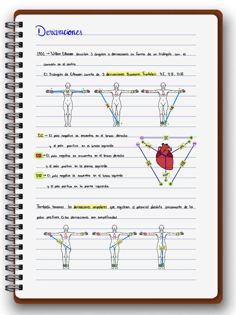 Apuntes | PDF