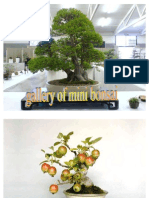 Bonsai VB