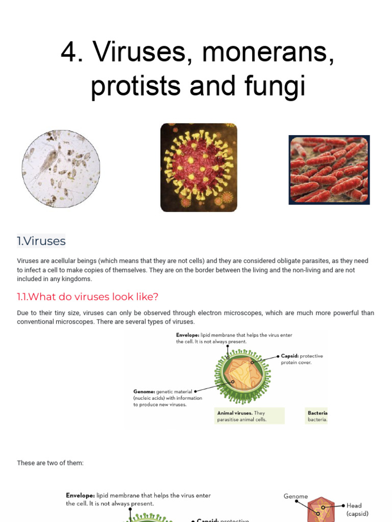 Some Notes About Viruses and Bacteria | PDF | Virus | Bacteria