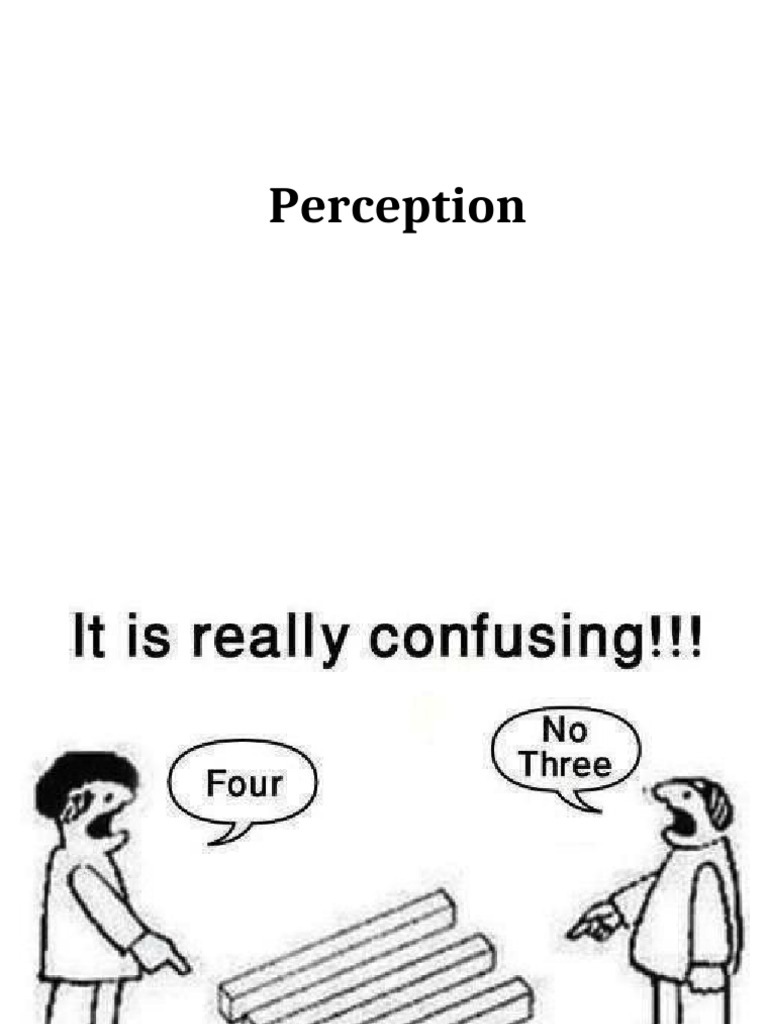 Module+2.+2+Perception | PDF