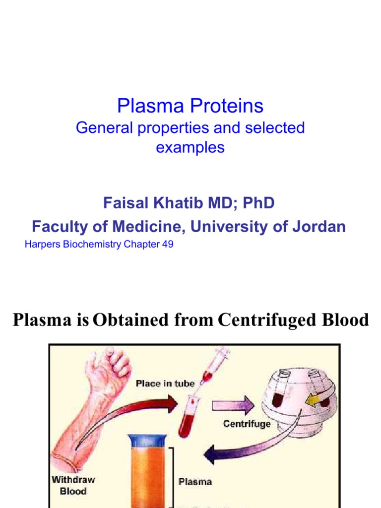 Which Category of Plasma Proteins Includes Antibodies-Immunology Overview