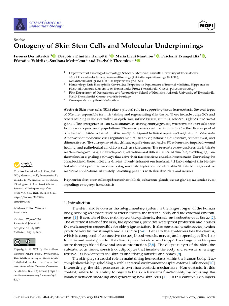 Ontogeny of Skin Stem Cells and Molecular Underpinnings | PDF