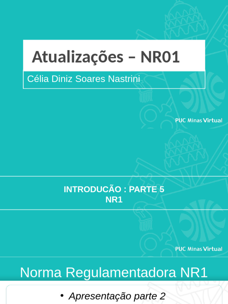 Norma Regulamentadora - NR 01 - Parte 02 | PDF