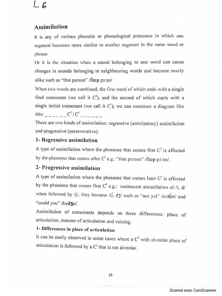 Assimilation | PDF
