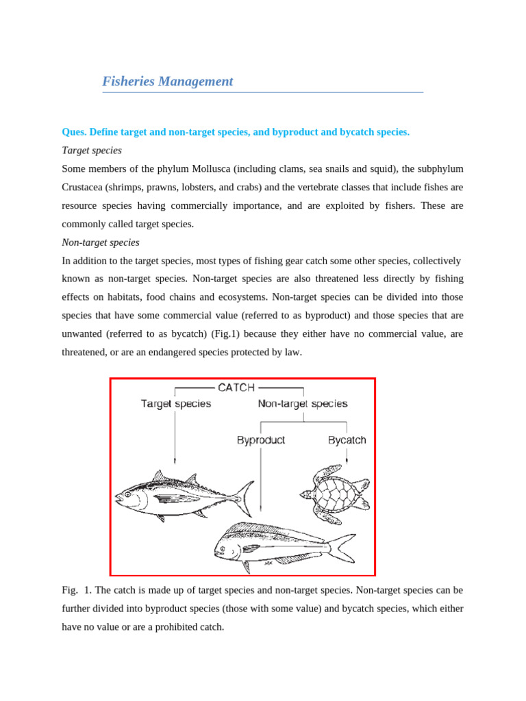 Marine Fish. Management - JD2021 - File 01 | PDF