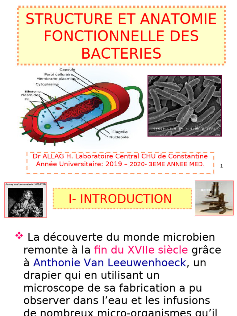 Bacterio3an-Structure Anatomie Fonctionnelle2020allag | PDF