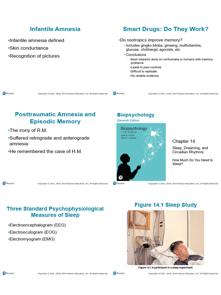 Sleep | PDF