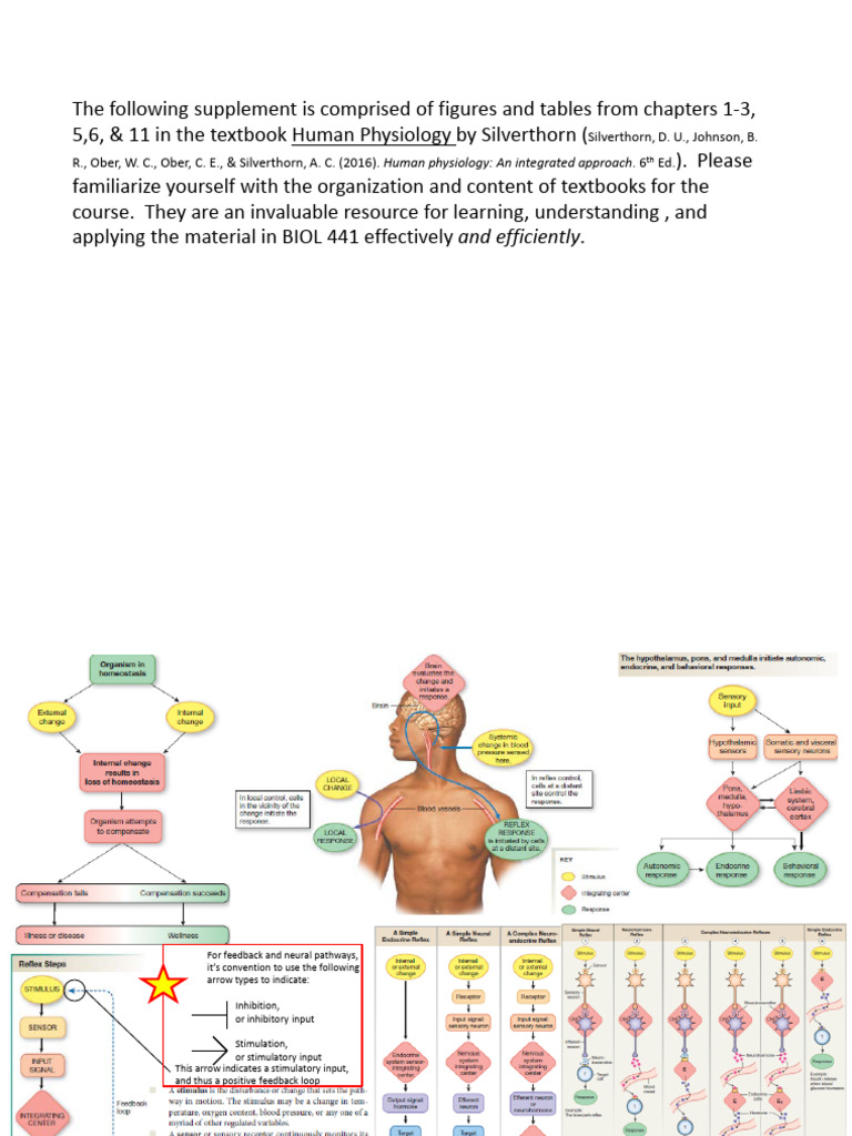 Lab 1 Homeostasis - Supplement - 1 | PDF
