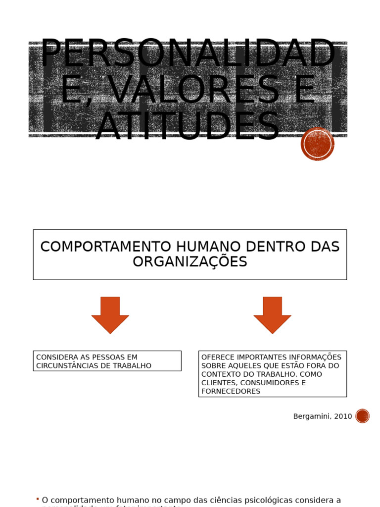 Personalidade, Valores e Atitudes | PDF