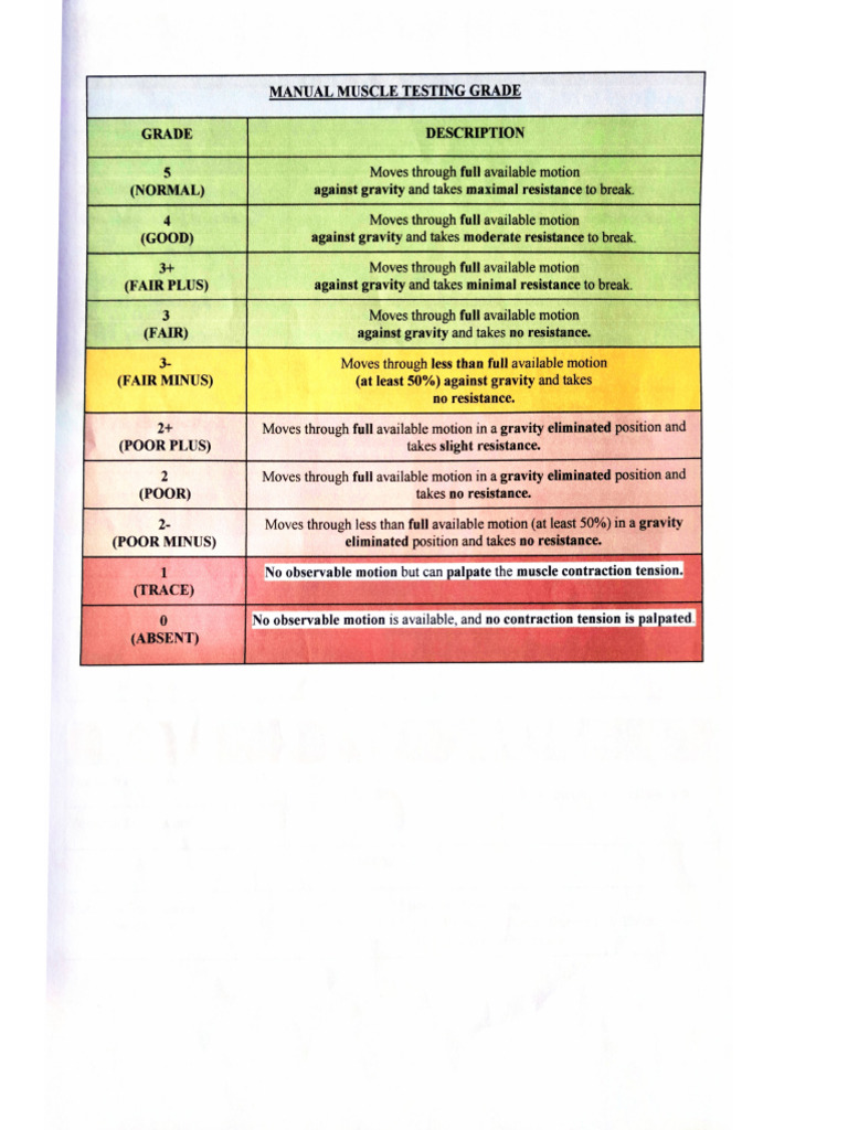 Manual Muscle Testing | PDF