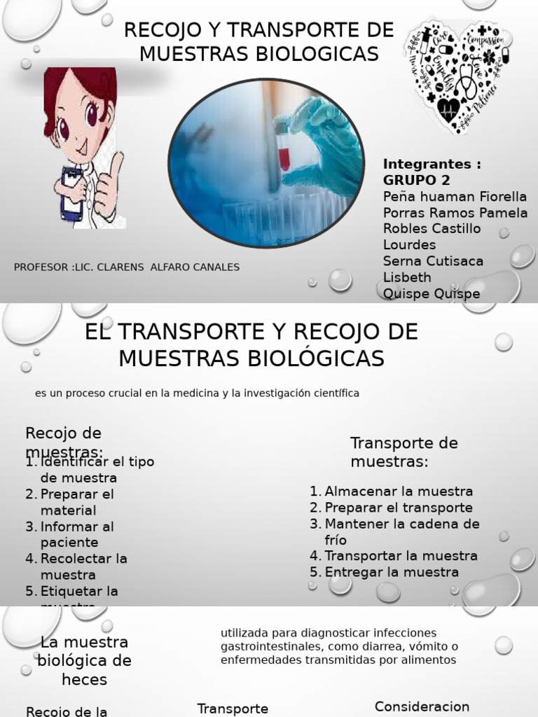 Recojo y Transportes de Muestras Biologicas | PDF