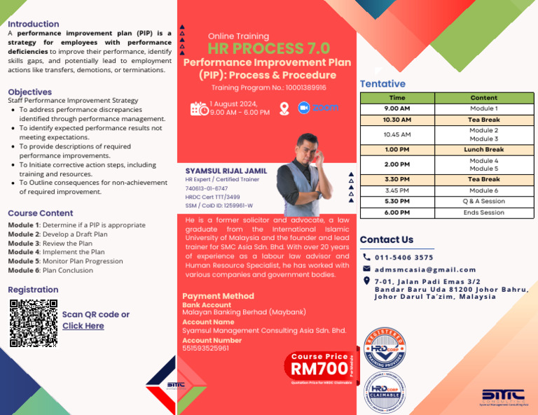 HR Process PIP | PDF