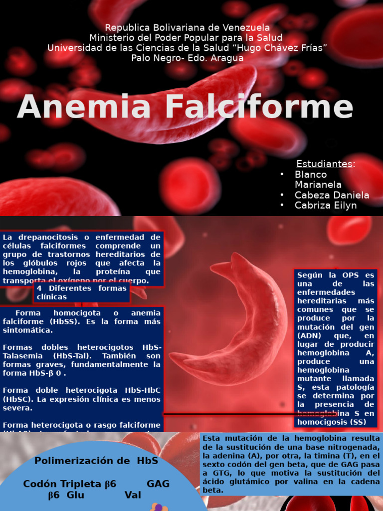 Ganci Adesivi In Acciaio Inox Forma Tonda 1,8 X 2,1 X 1,5 Cm 4 Pezzi