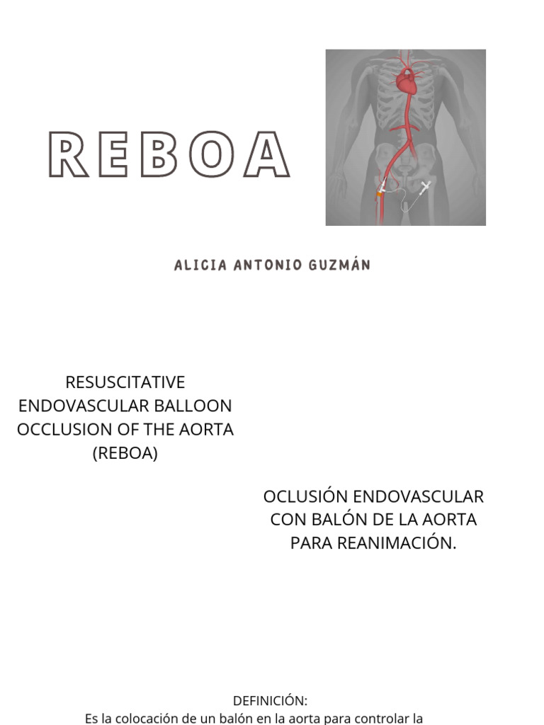 Reboa | PDF