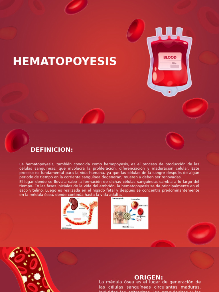 hematopoyesis-pdf