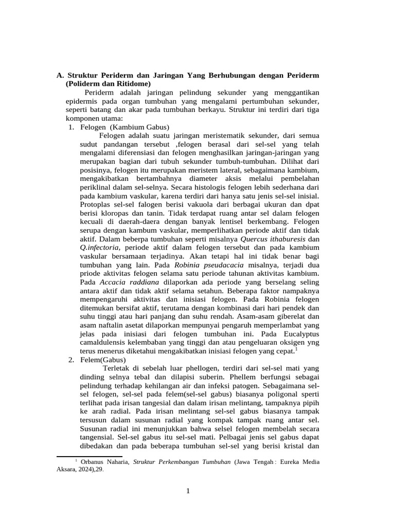 Periderm | PDF