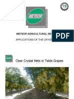 Meteor Crystal Net Presentation