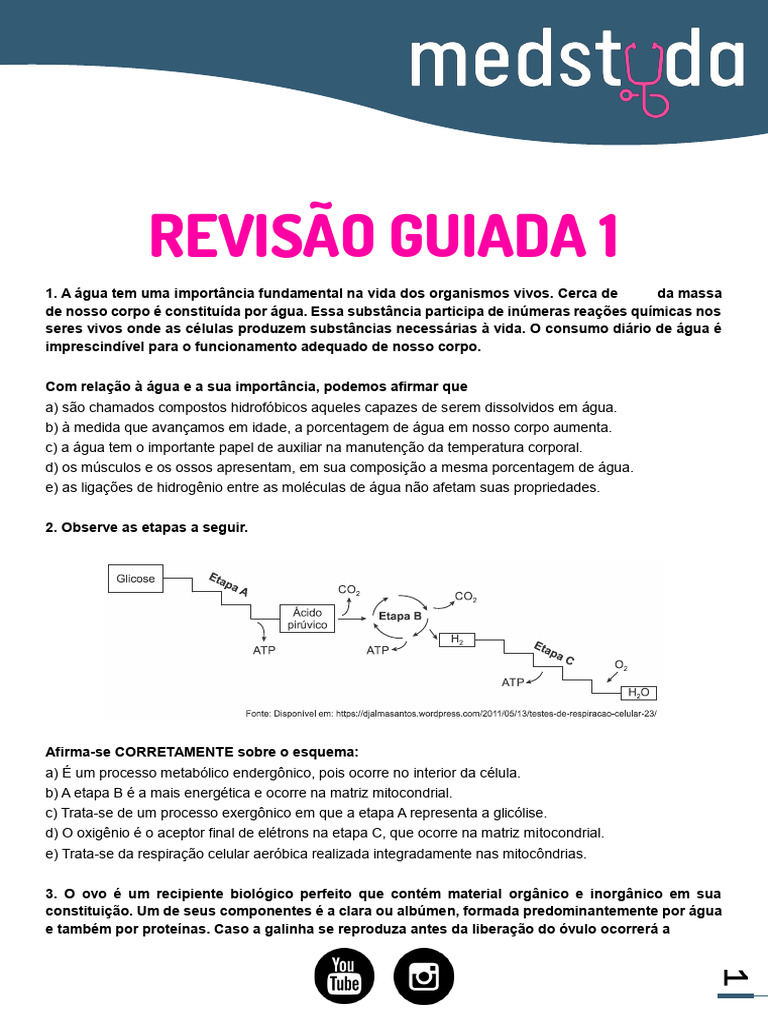 Grátis: digestão, absorção e metabolismo energético de carboidratos -  Material Claro e Objetivo em PDF para Estudo Rápido, image size:768x1024