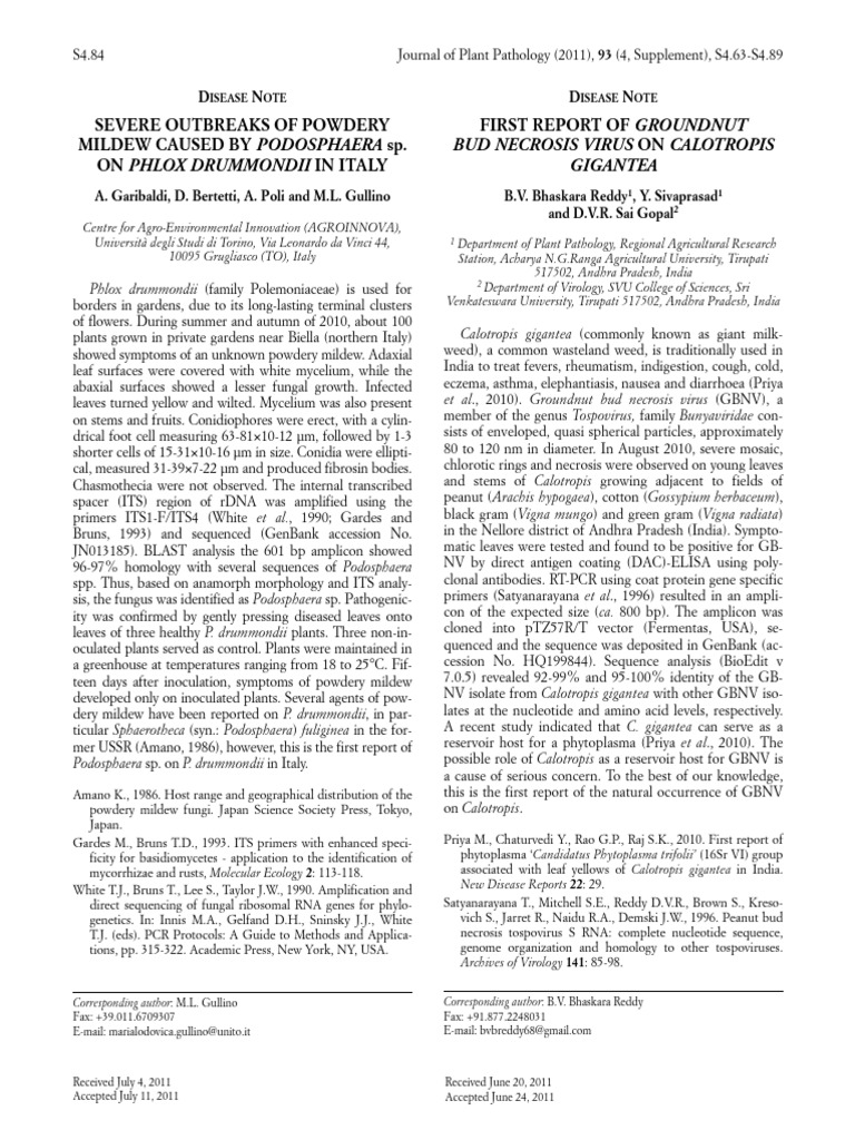 Calatropis new report pdf