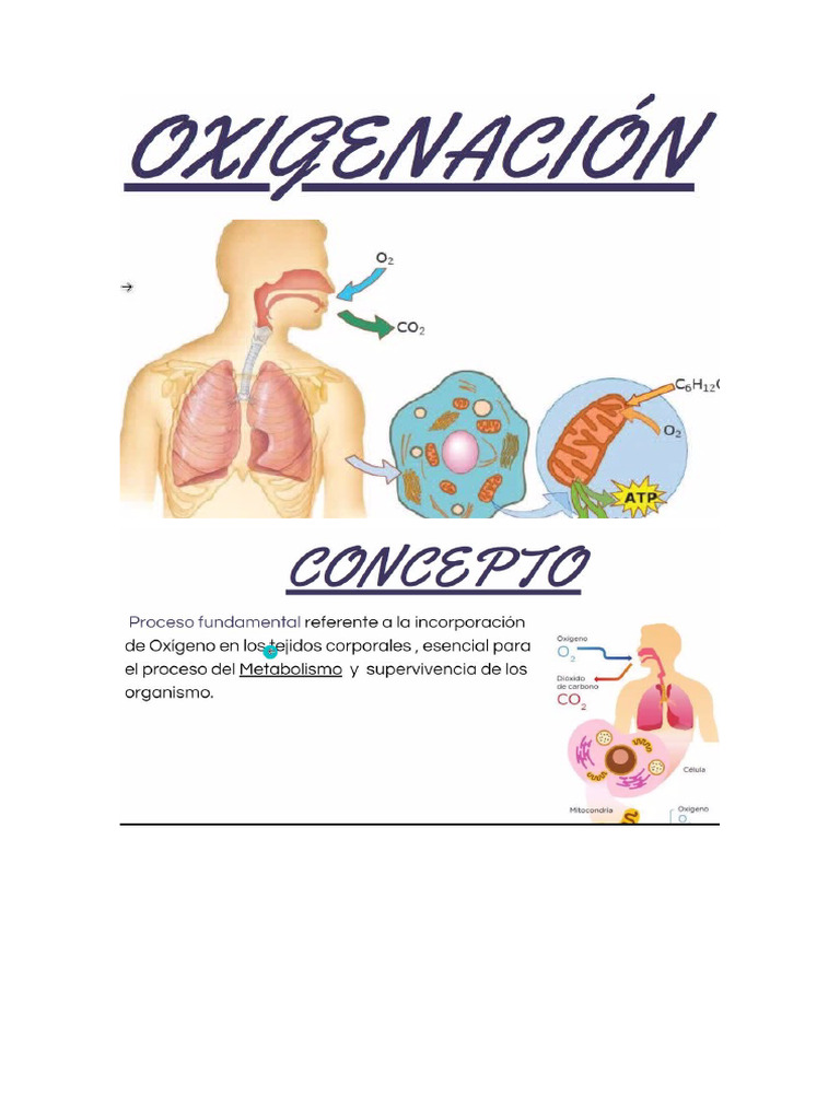 Diapositivas de Oxigenación | PDF