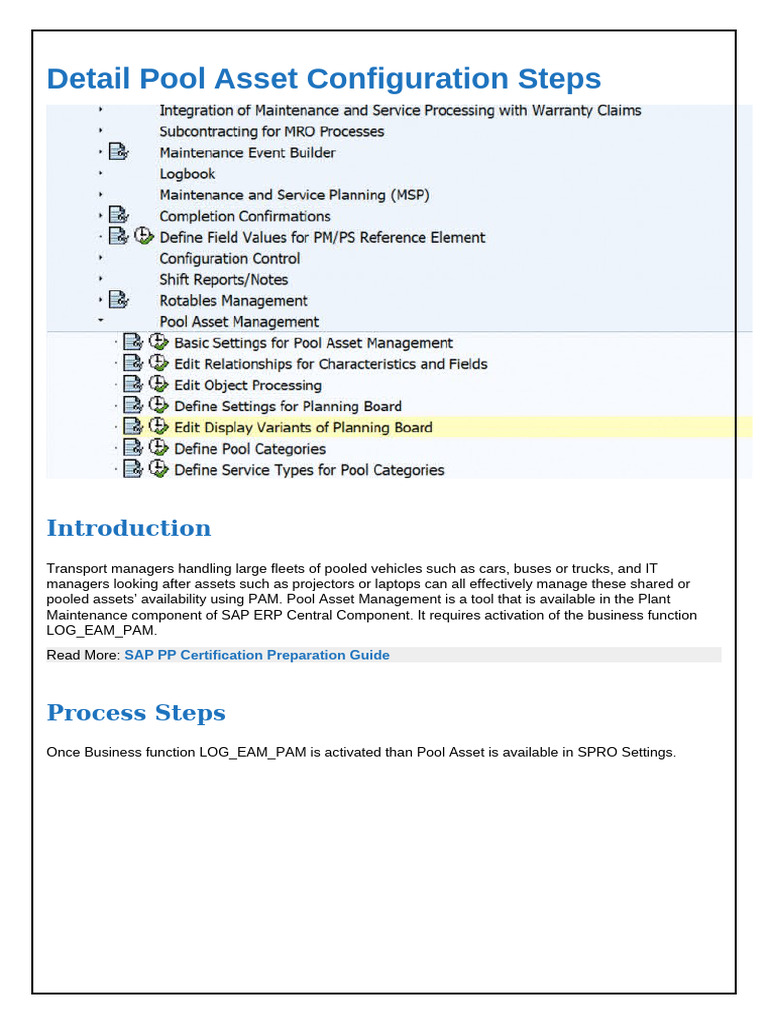 SAP Pool Asset Configuration Guide | PDF | Technology & Engineering