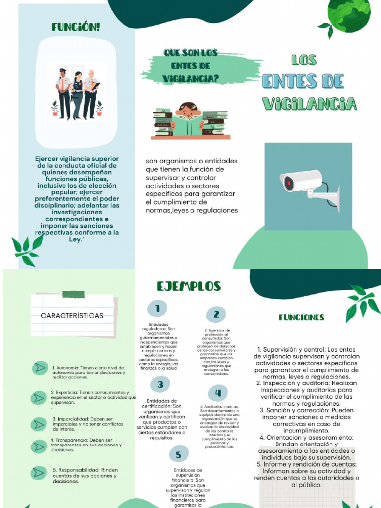 Folleto Entes de Vigilancia | PDF