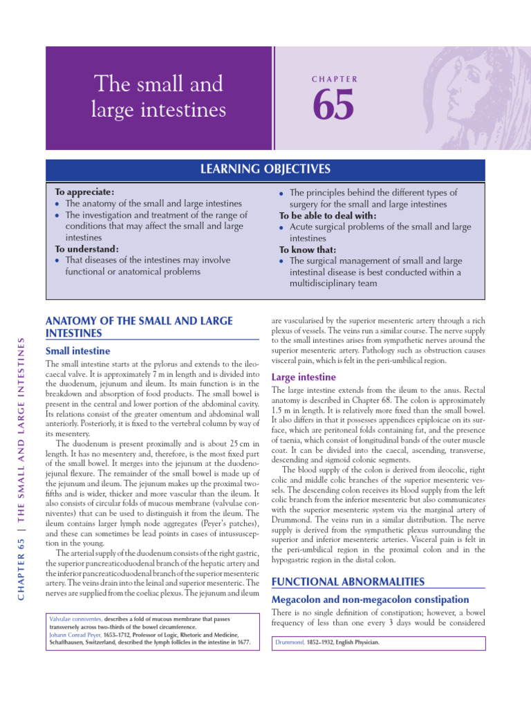 8small Intestine | PDF