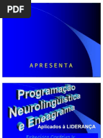 PNL Eneagrama e Liderança