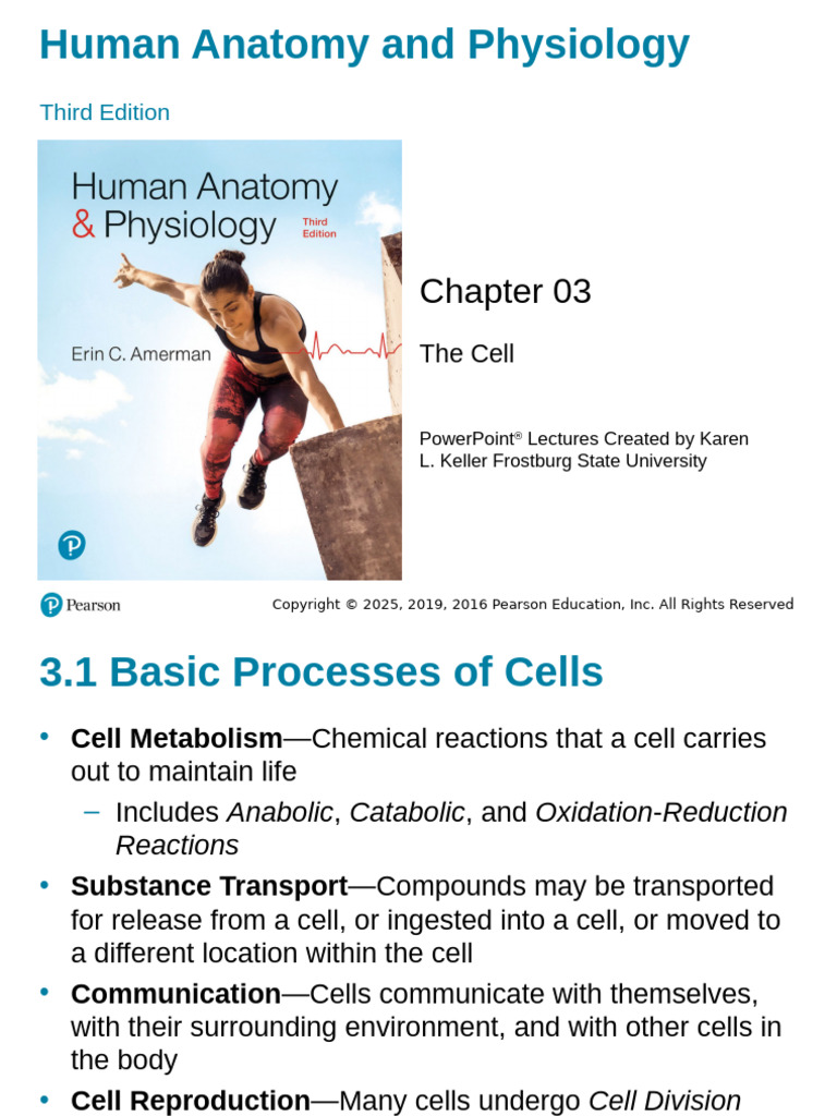 CH 03 PPTaccessible | PDF