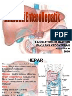 Anatomi Enterohepatik