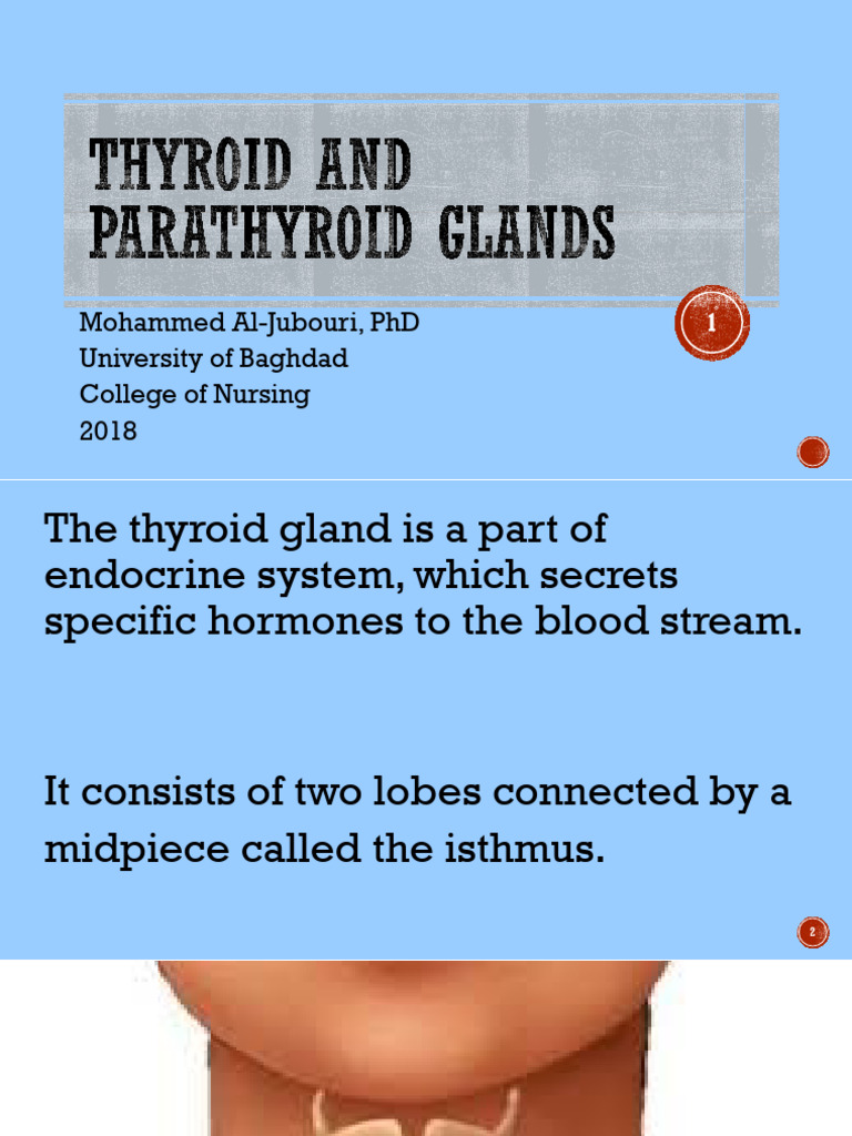 Thyroid and Parathyroid Disorders Overview | PDF | Hypothyroidism | Thyroid