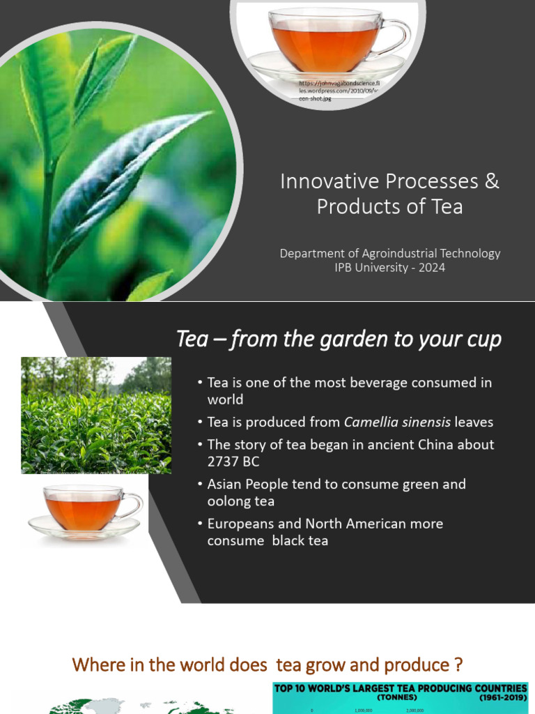Innovative Processes & Products of Tea TCS | PDF | Tea | Cooking, Food ...