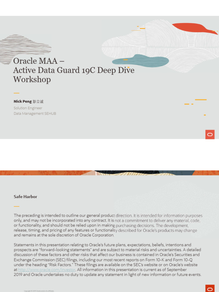 Oracle Database 19c Webinar l39 | PDF