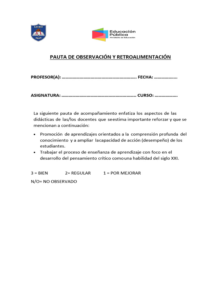 Pauta de Acompañamiento Al Aula 2024 | PDF