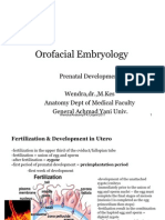 Or o Facial Embryology