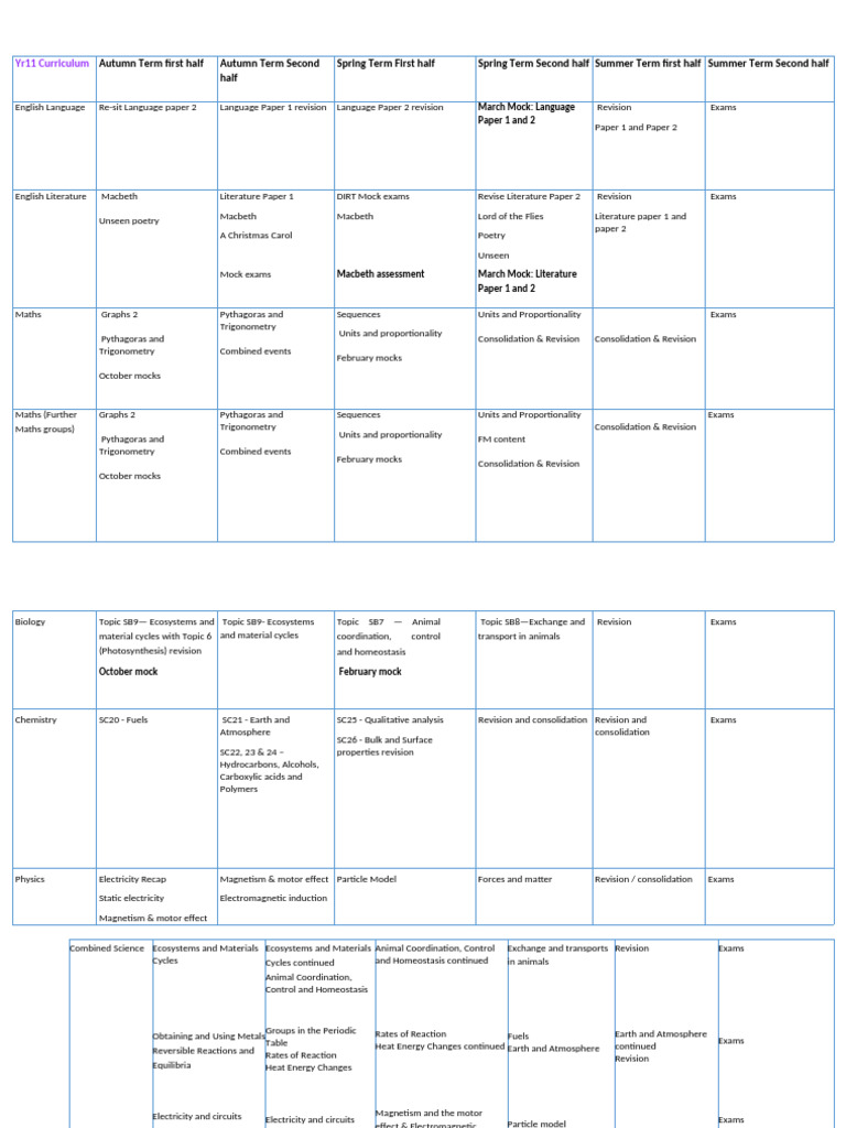 YR 11 Curriculum | PDF