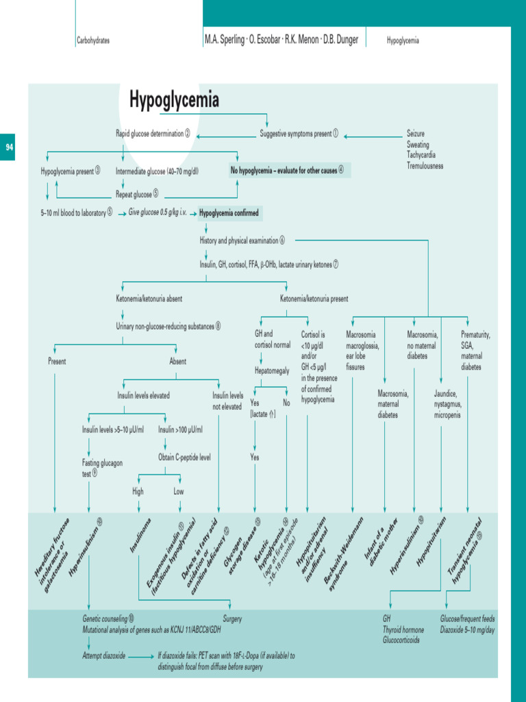 Hypoglycemia | PDF
