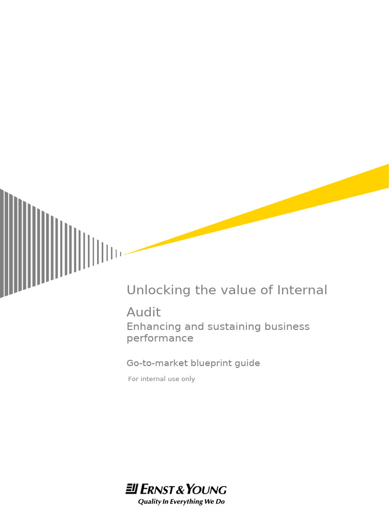 Unlocking Internal Audit Value Guide | PDF