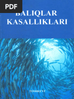 Anal porno yaqin planda hd